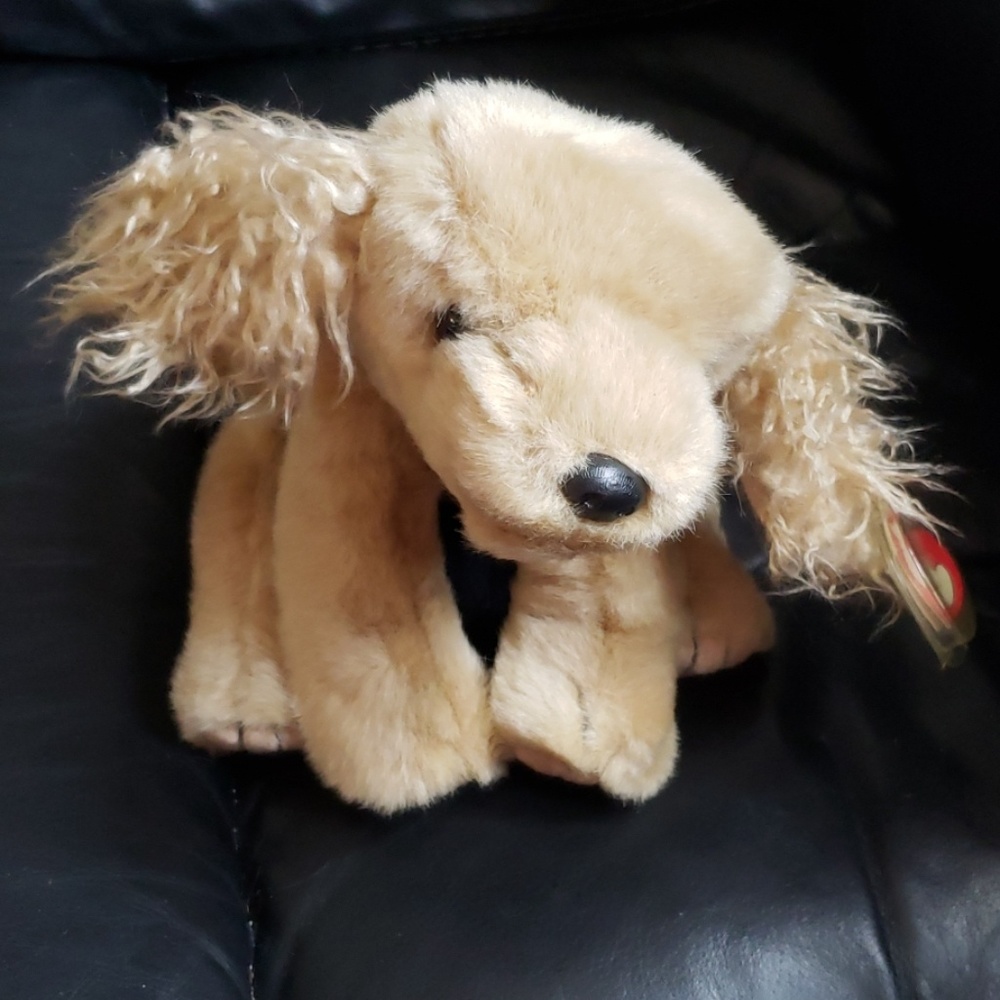 TY beanie buddy. "Corky"